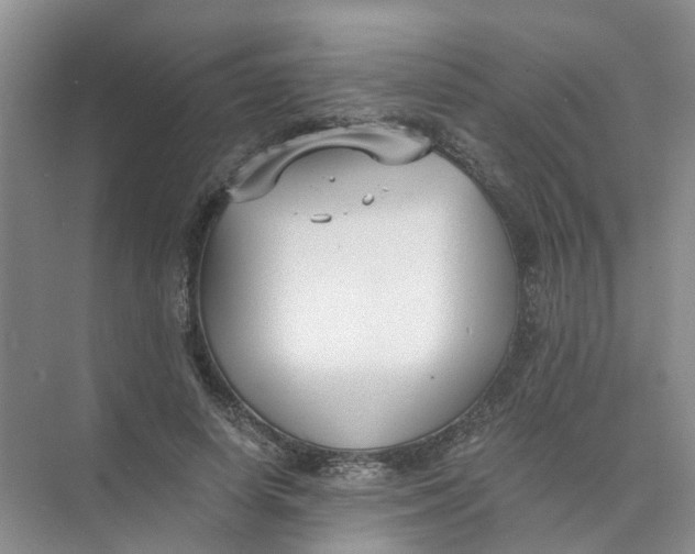 X0000073860642200608312028