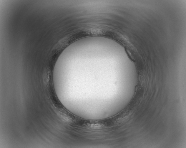 X0000073860645200608312028