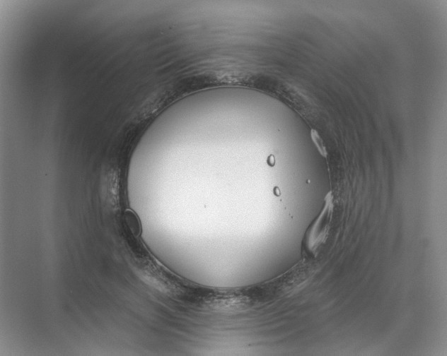 X0000073860646200608312028