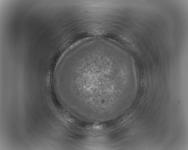 X0000073860647200608312028