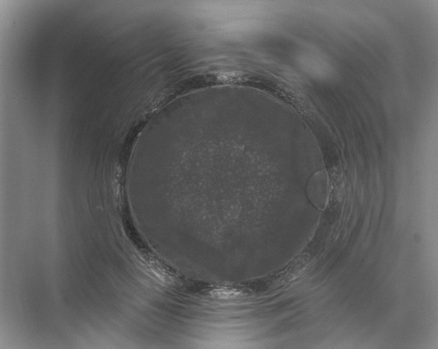 X0000073860650200608312028