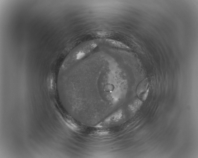 X0000073860651200608312028