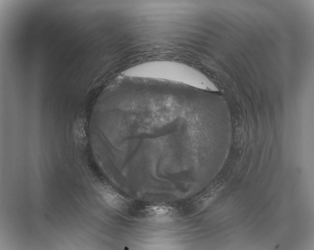 X0000073860654200608312028