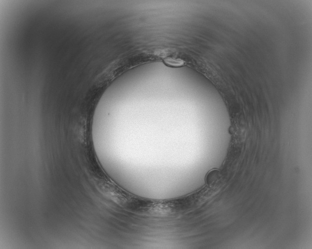 X0000073860656200608312028