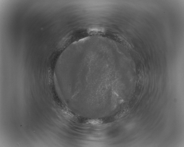 X0000073860659200608312028