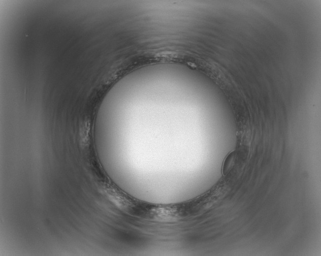 X0000073860660200608312028