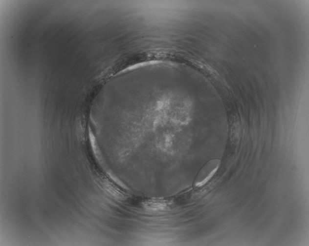 X0000073860661200608312028