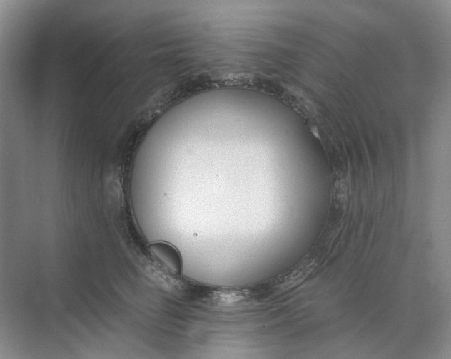 X0000073860662200608312028