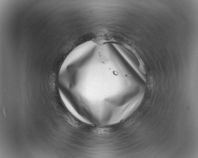 X0000073860664200608312028