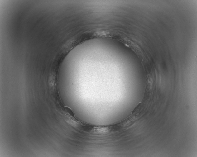 X0000073860665200608312028