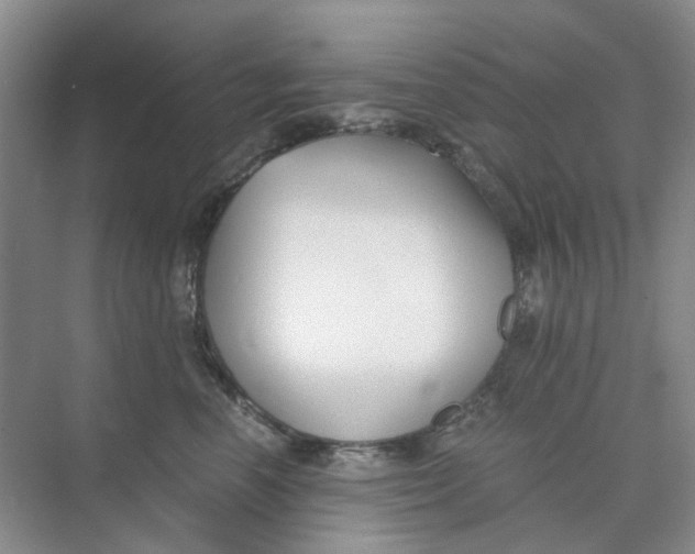 X0000073860666200608312028