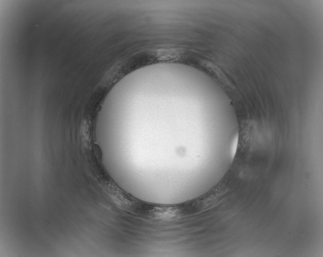 X0000073860667200608312028