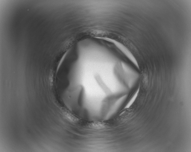 X0000073860668200608312028