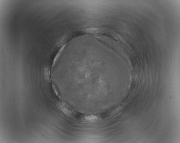 X0000073860669200608312028