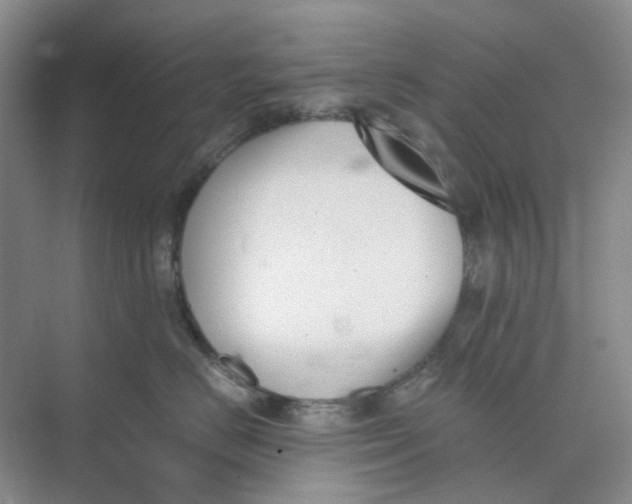 X0000073860670200608312028