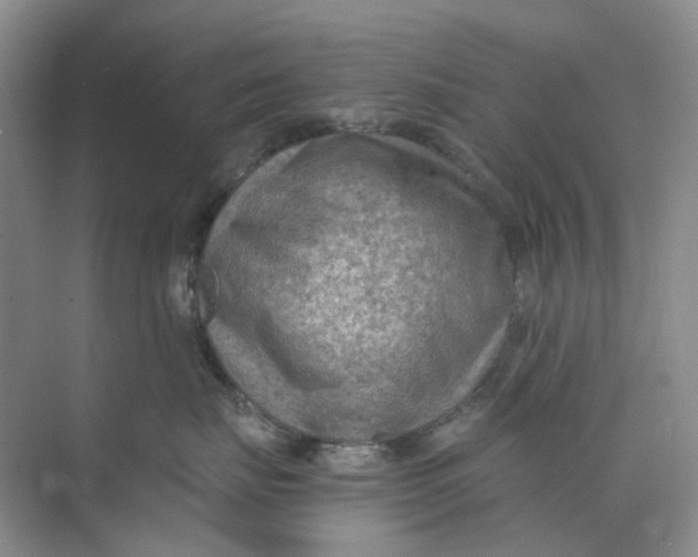 X0000073860671200608312028