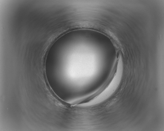 X0000073860673200608312027