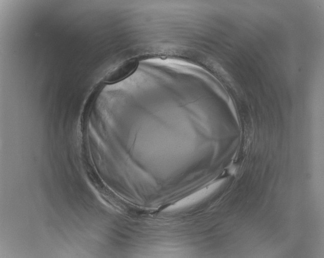 X0000073860674200608312027