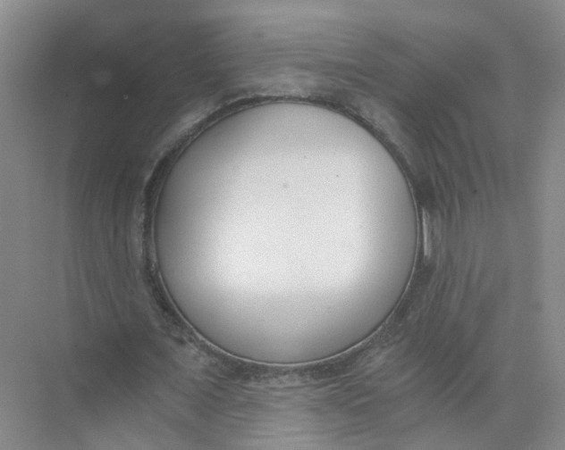 X0000073860675200608312027