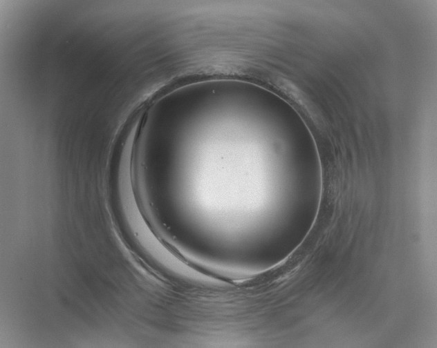 X0000073860677200608312027