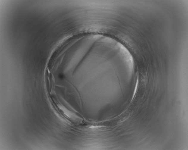 X0000073860678200608312027