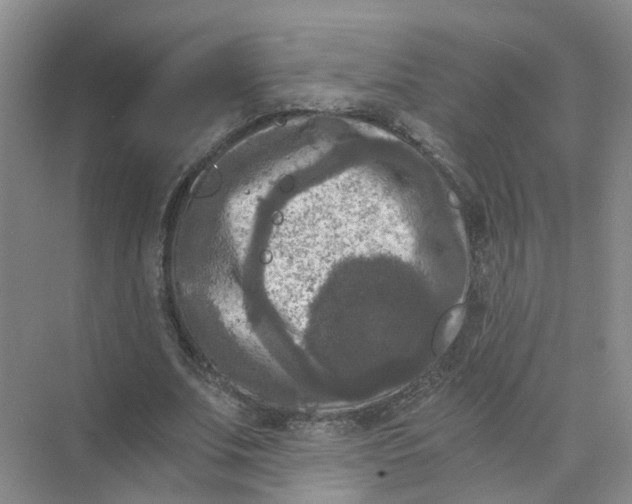 X0000073860679200608312027