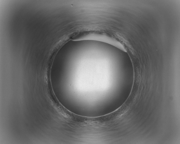 X0000073860681200608312027