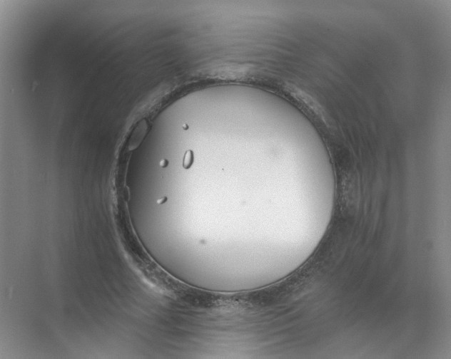 X0000073860682200608312027