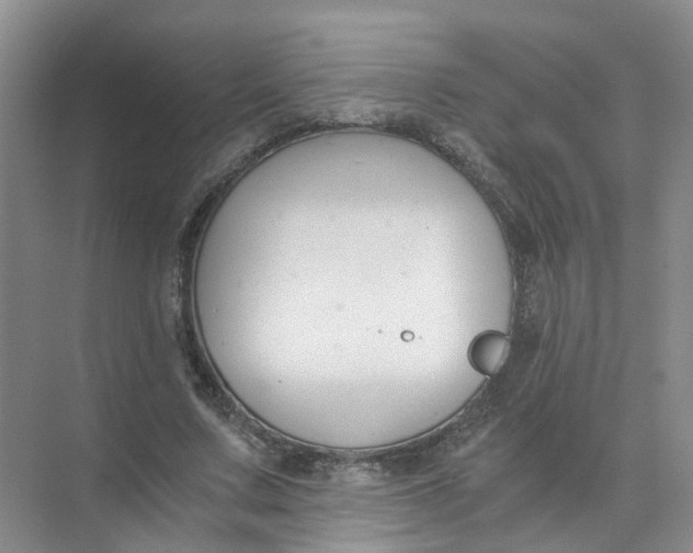 X0000073860683200608312027