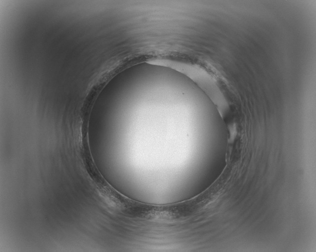 X0000073860685200608312027