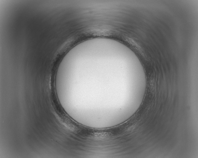 X0000073860686200608312027