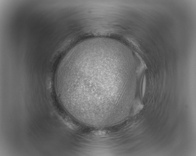 X0000073860687200608312027