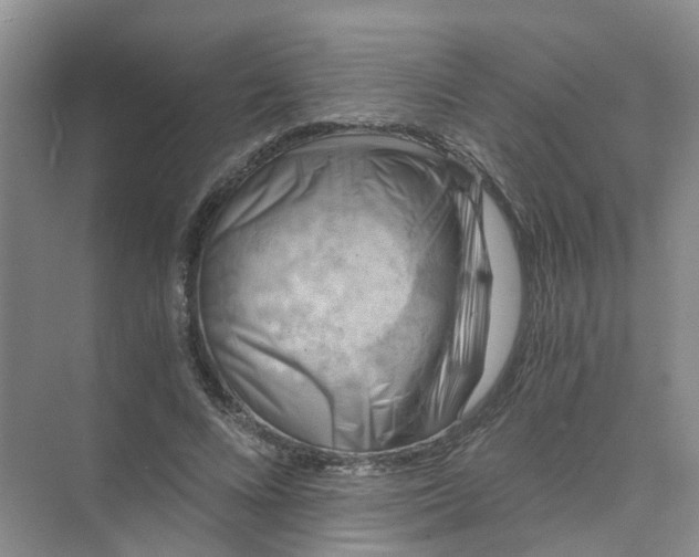 X0000073860688200608312027