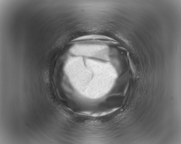 X0000073860689200608312027