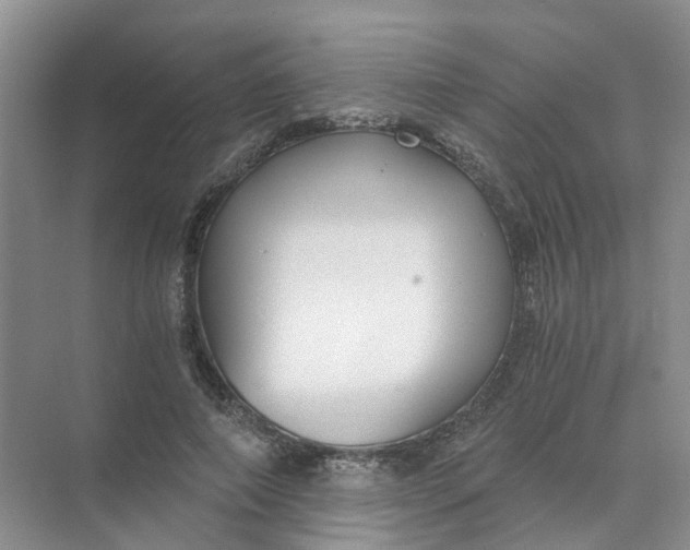 X0000073860690200608312027