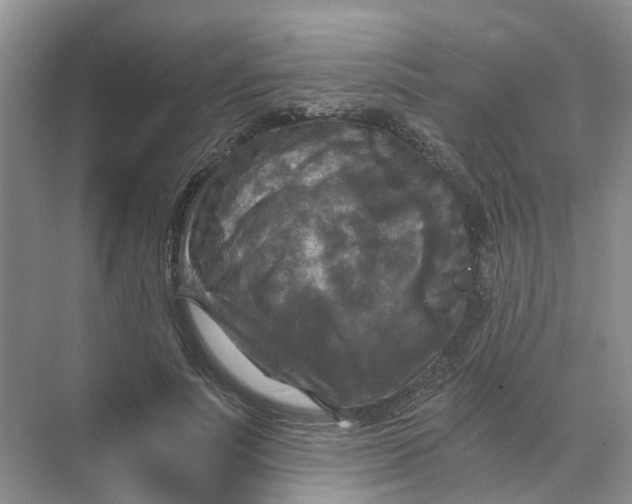 X0000073860691200608312027