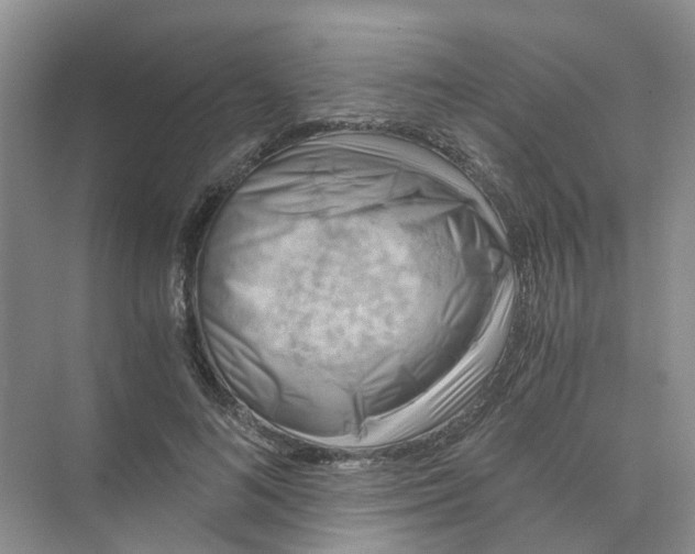 X0000073860692200608312027