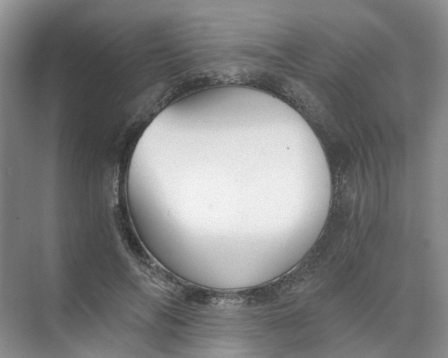 X0000073860694200608312027