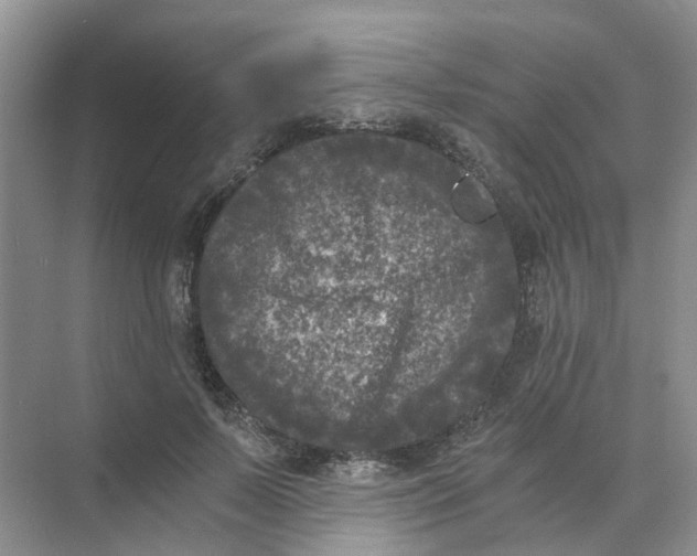 X0000073860695200608312027