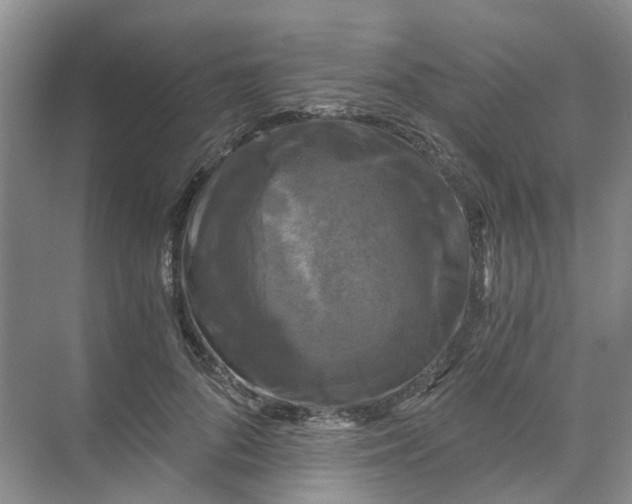 X0000073860696200608312027