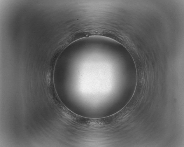 X0000073860697200608312027