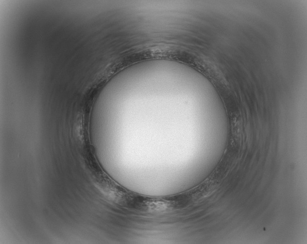 X0000073860698200608312027