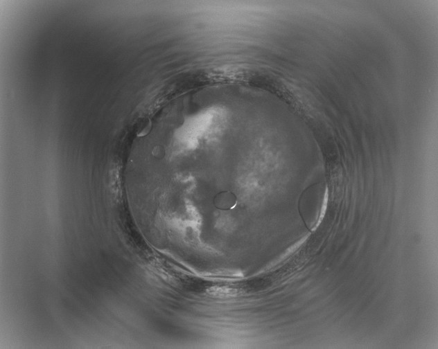 X0000073860699200608312027