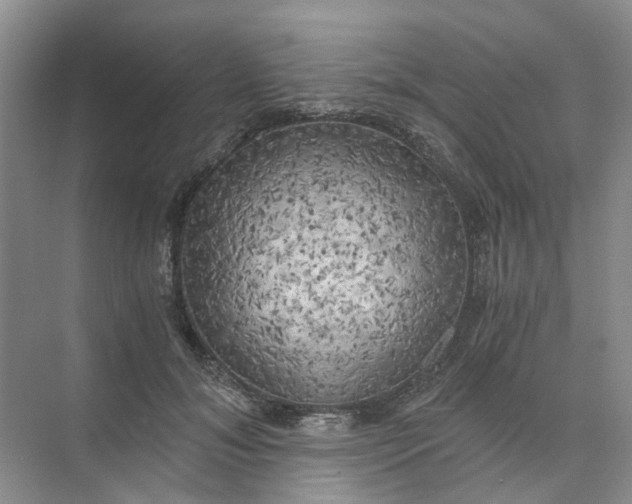 X0000073860700200608312027