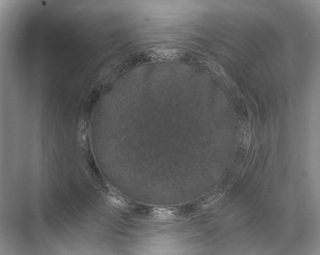 X0000073860701200608312027