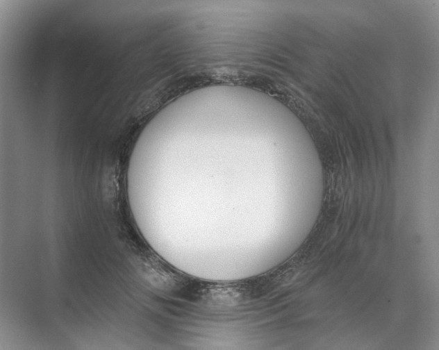 X0000073860702200608312027