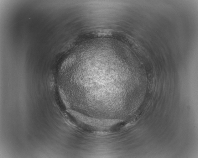 X0000073860704200608312027