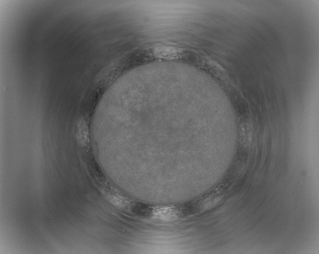 X0000073860705200608312027