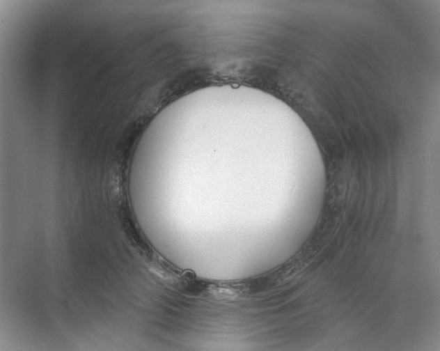 X0000073860706200608312027