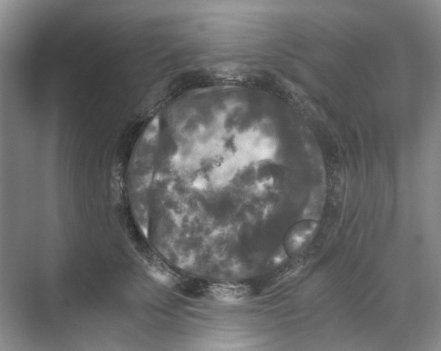 X0000073860707200608312027